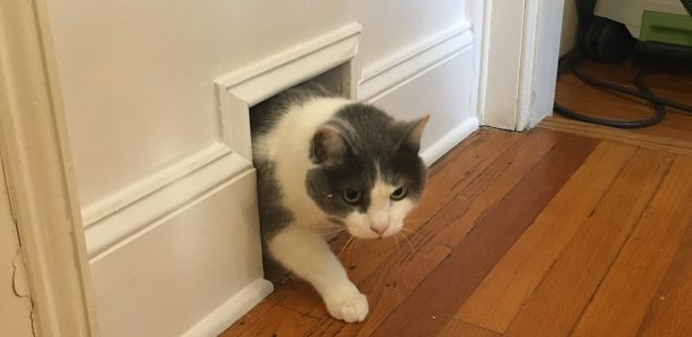 The Cat Hole
